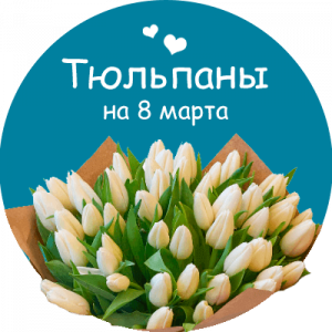 Купить тюльпаны в Твери
